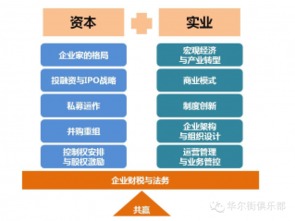 199IT企業(yè)軟件開發(fā)洞察 趨勢、挑戰(zhàn)與未來路徑